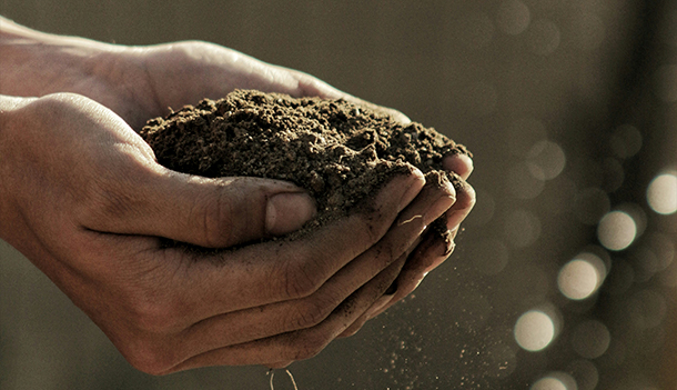 Two eco partners standing in field