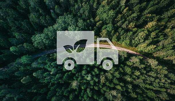 Delivery package with green label